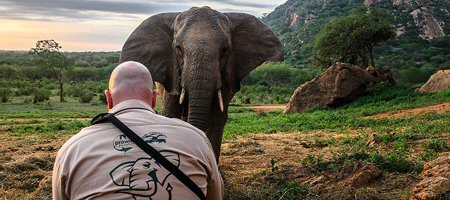 Un grand éléphant regarde en direction d'un homme dans un décor naturel impressionnant